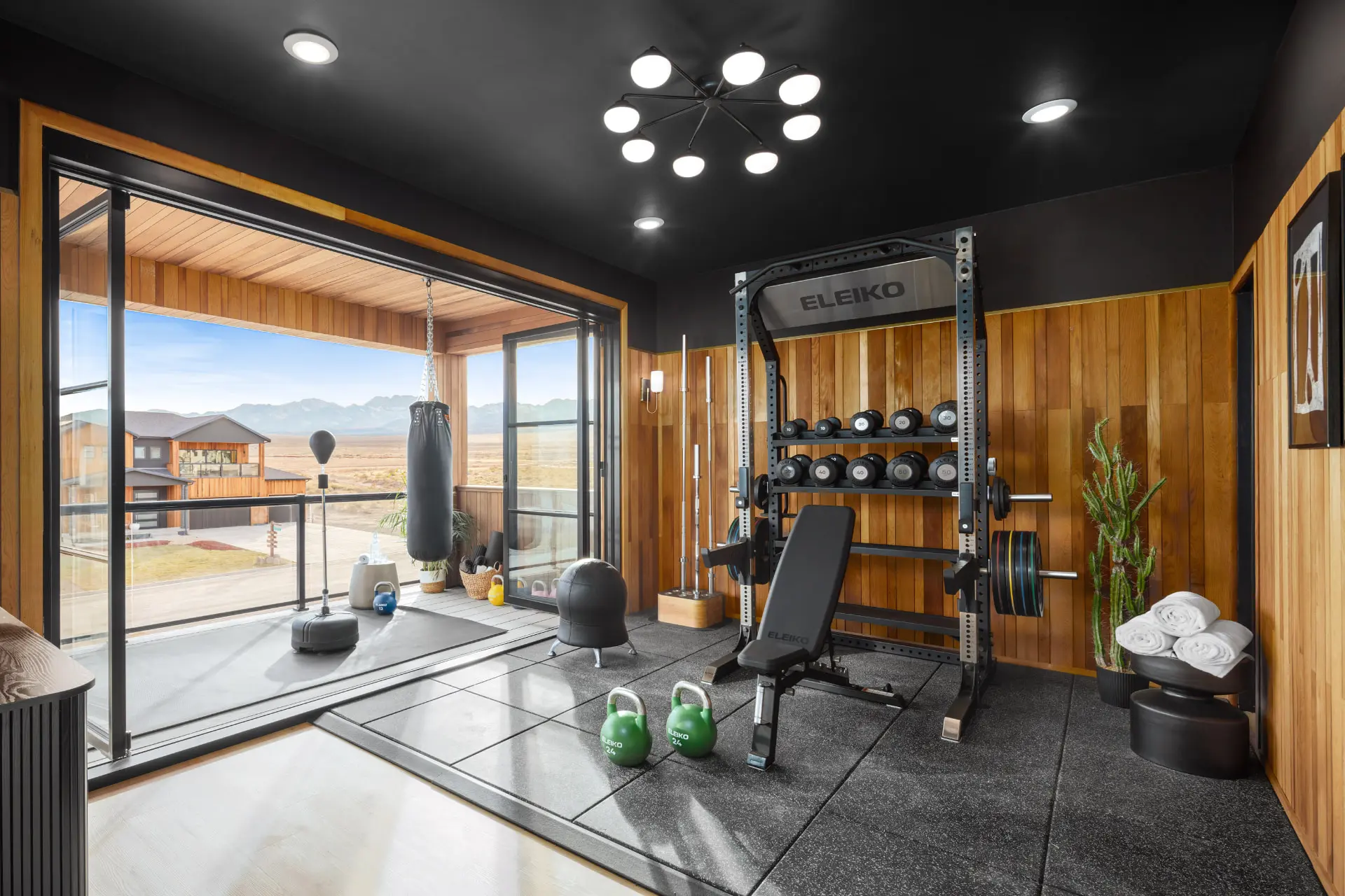 Home gym with an orbital ceiling fixture and open glass wall to the valley